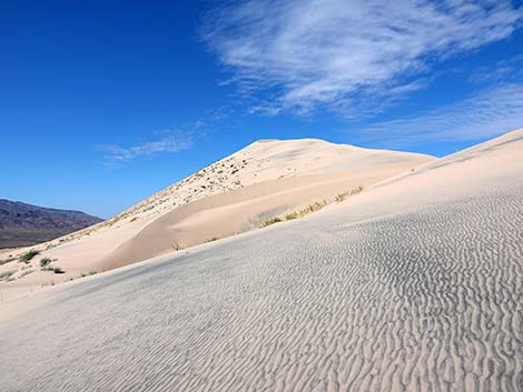 Kelso Dunes