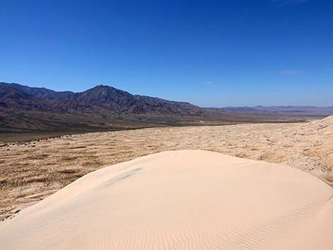 Kelso Dunes