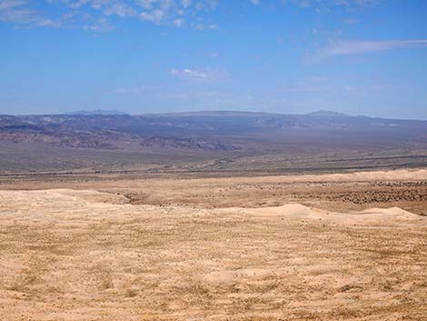 Kelso Dunes