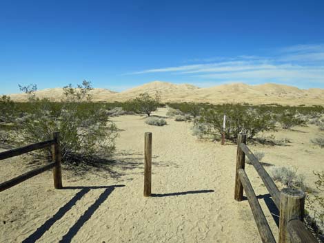 Kelso Dunes