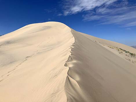 Kelso Dunes