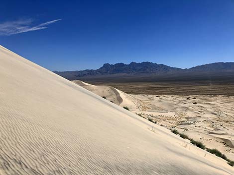 Kelso Dunes