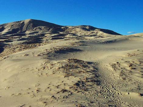 Kelso Dunes