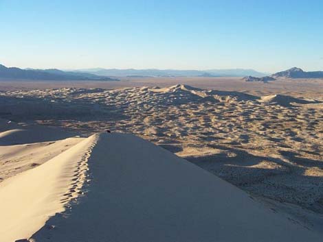 Kelso Dunes