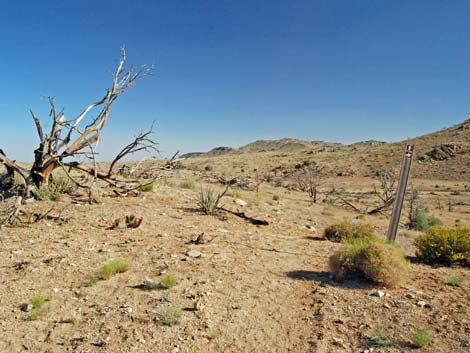 Mid Hills to Hole-in-the-Wall Trail