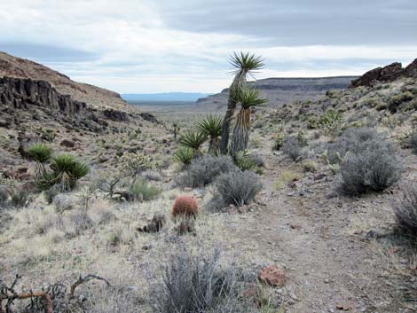 Mid Hills to Hole-in-the-Wall Trail