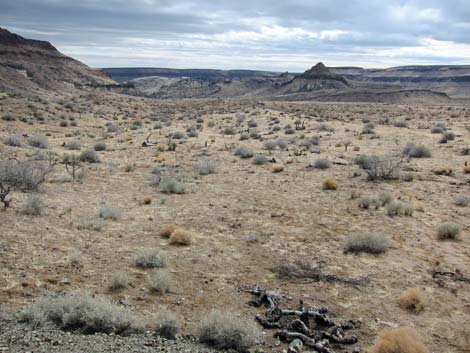 Mid Hills to Hole-in-the-Wall Trail