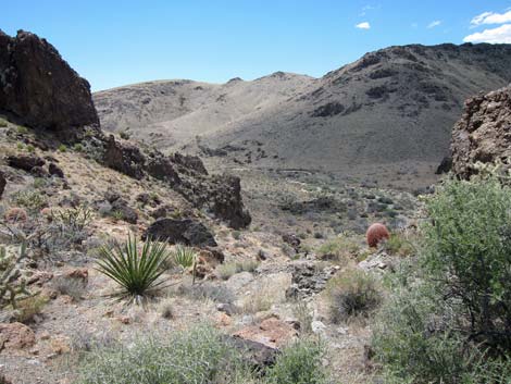 Mid Hills to Hole-in-the-Wall Trail