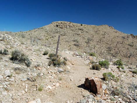 Mid Hills Loop Trail