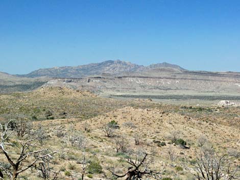 Mid Hills Loop Trail