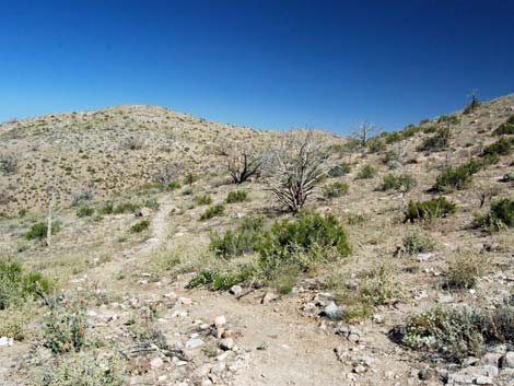 Mid Hills Loop Trail