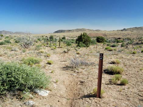 Mid Hills Loop Trail