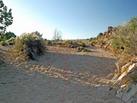 Mid Hills Loop Trail