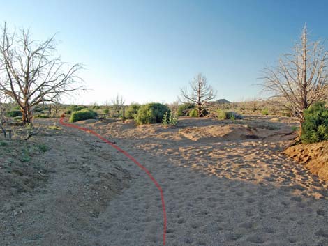 Mid Hills Loop Trail