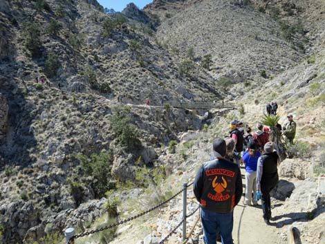 Mitchell Caverns Trail