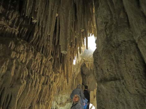 Mitchell Caverns Trail