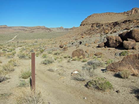 Rings Loop Trail