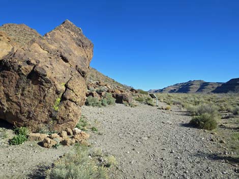 Rings Loop Trail