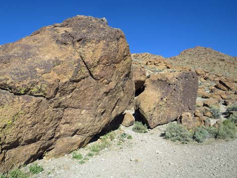 Rings Loop Trail