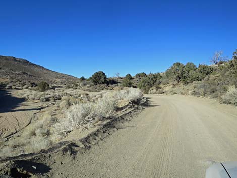 Black Canyon Road