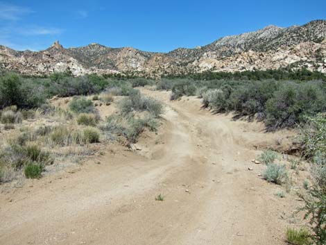 Caruthers Canyon Road