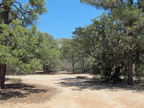 Caruthers Canyon Road