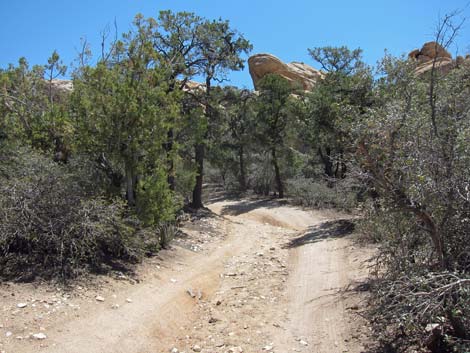 Caruthers Canyon Road