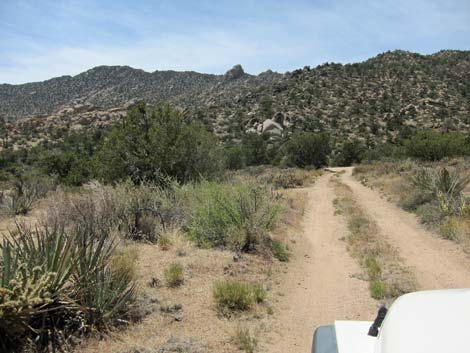 Caruthers Canyon Road