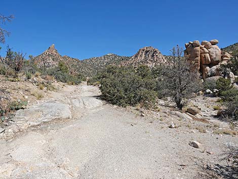 Caruthers Canyon Road