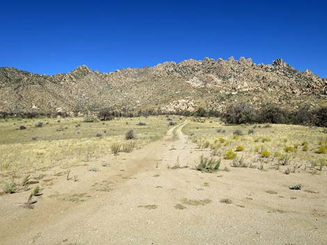 Caruthers Canyon Road