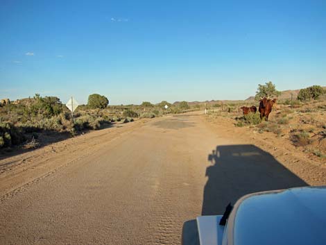 Cedar Canyon Road