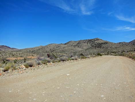 Ivanpah Road