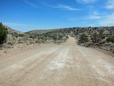 Ivanpah Road