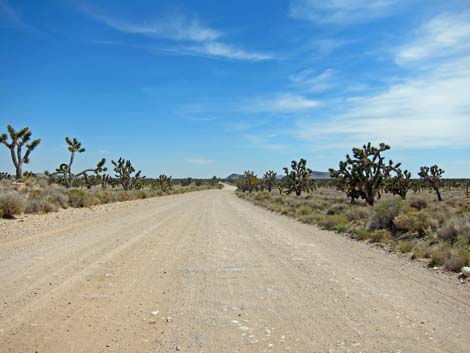 Ivanpah Road