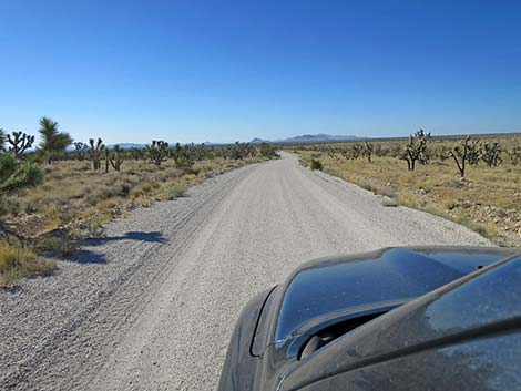 Ivanpah Road