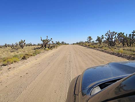 Ivanpah Road