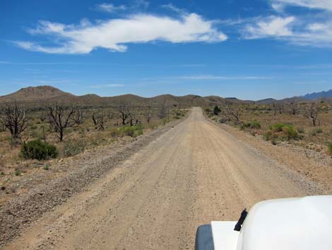 Wild Horse Road