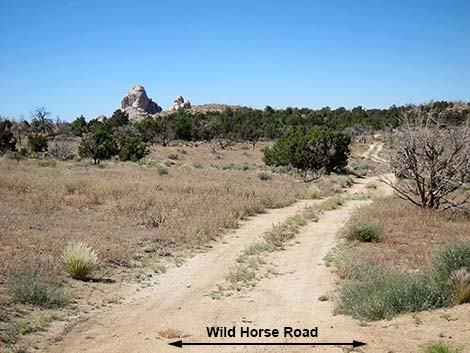 Wild Horse Road