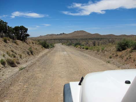 Wild Horse Road