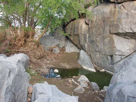 Rock Spring Loop Trail