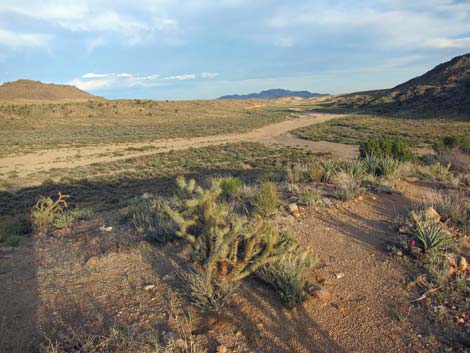 Rock Spring Loop Trail