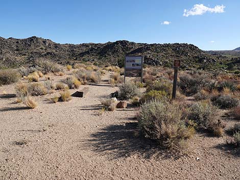 Rock Spring Loop Trail