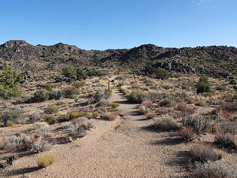 Rock Spring Loop Trail