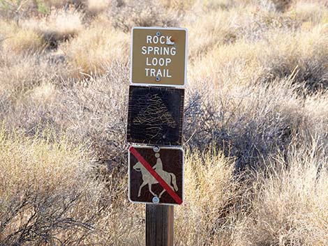 Rock Spring Loop Trail