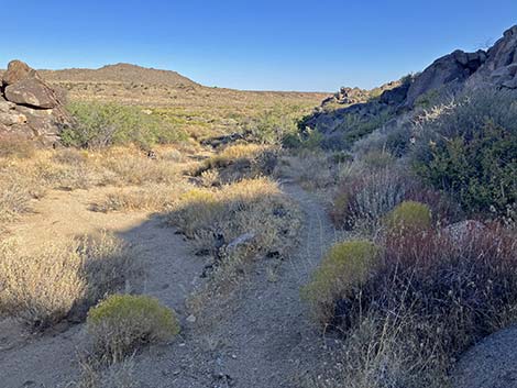 Rock Spring Loop Trail