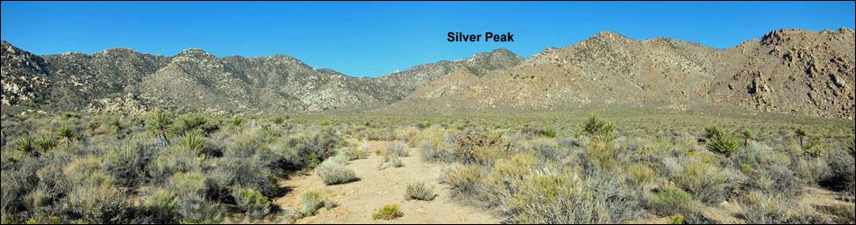 Silver Peak