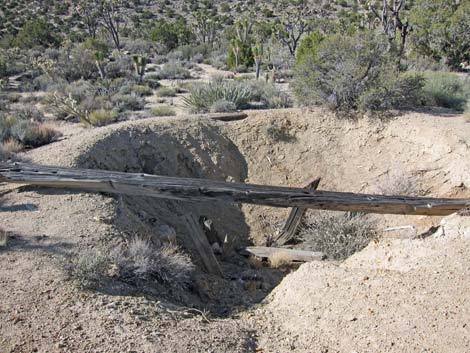 Teutonia Peak Trail