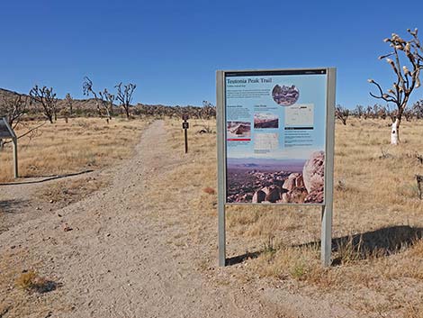 Teutonia Peak Trail