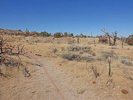 Teutonia Peak Trail