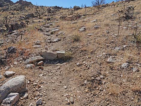 Teutonia Peak Trail